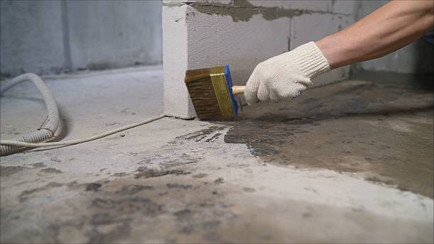 24/7 Emergency Exterior Waterproofing experts in Morrice, MI